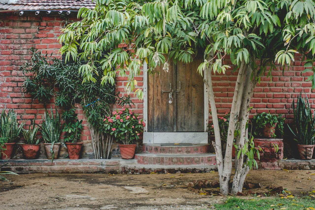 Shannu'S Ranch Inn Pushkar Exteriör bild